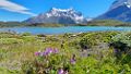 0497-dag-23-040-Torres del Paine Los Cuernos Lago Nordenskjold